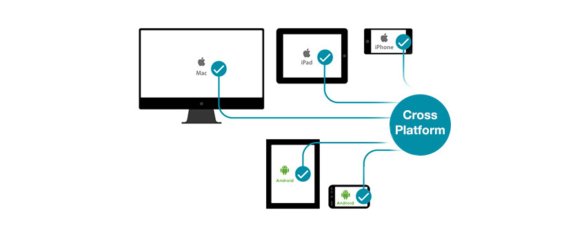 CrossPlatform Mobile App Development